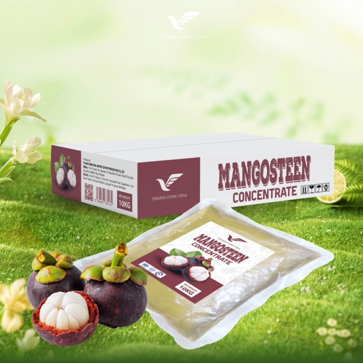 Mangosteen Juice Concentrate