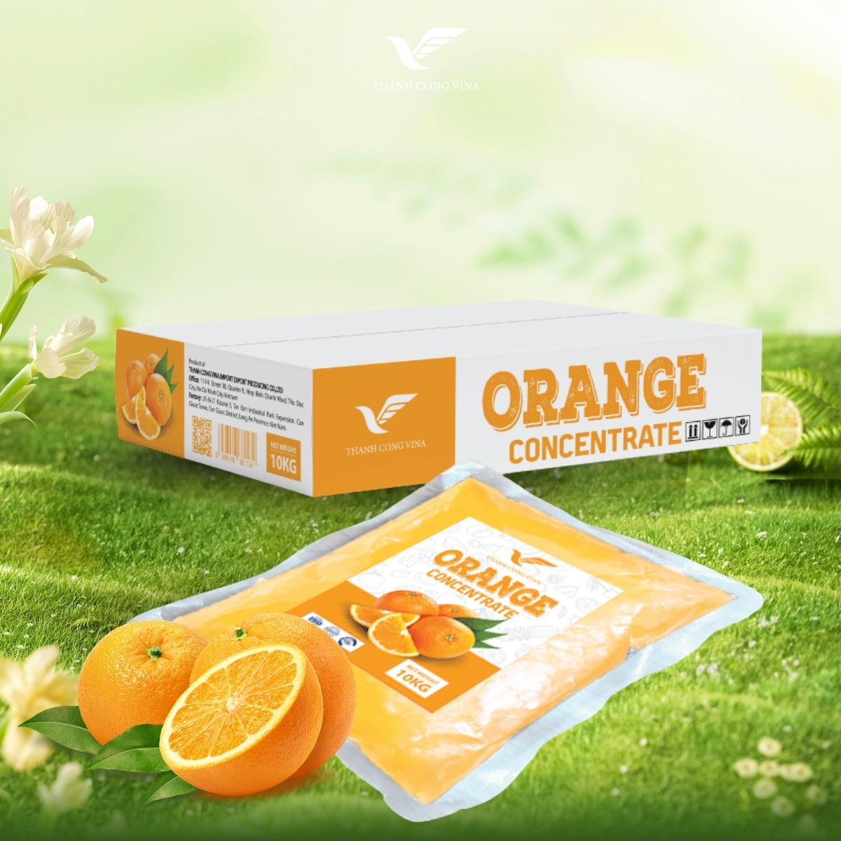 orange juice concentrate