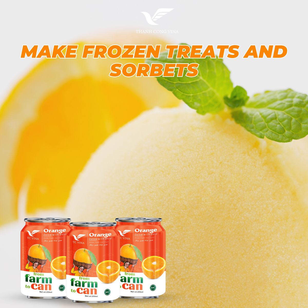 Make Frozen Treats and Sorbets