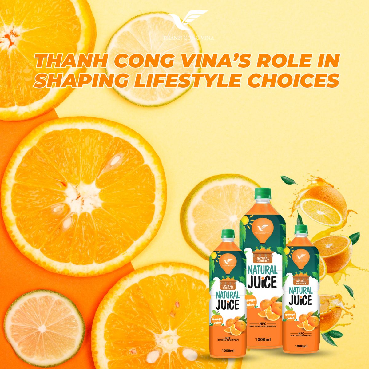 Thanh Cong Vina’s Role in Shaping Lifestyle Choices