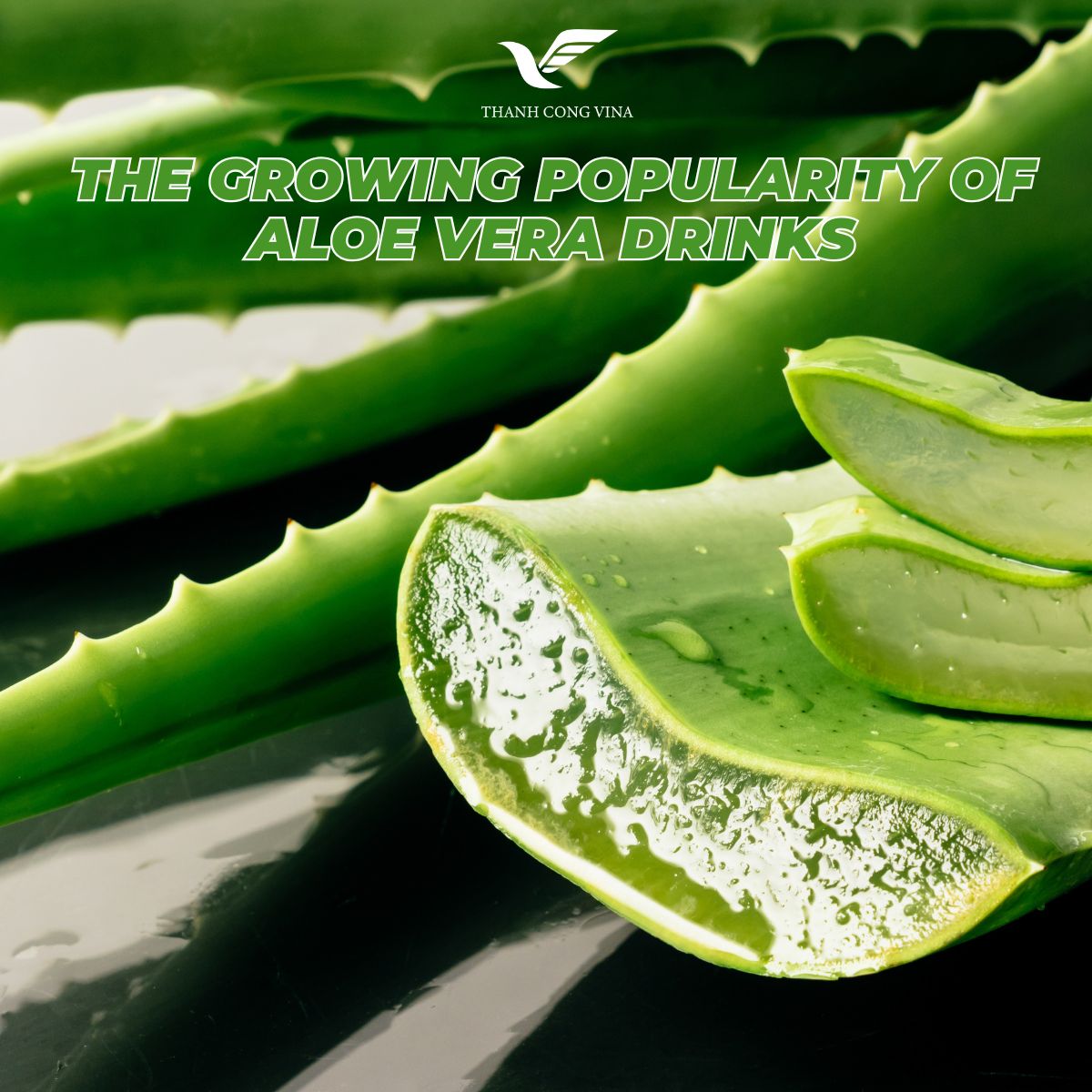 The Growing Popularity of Aloe Vera Drinks
