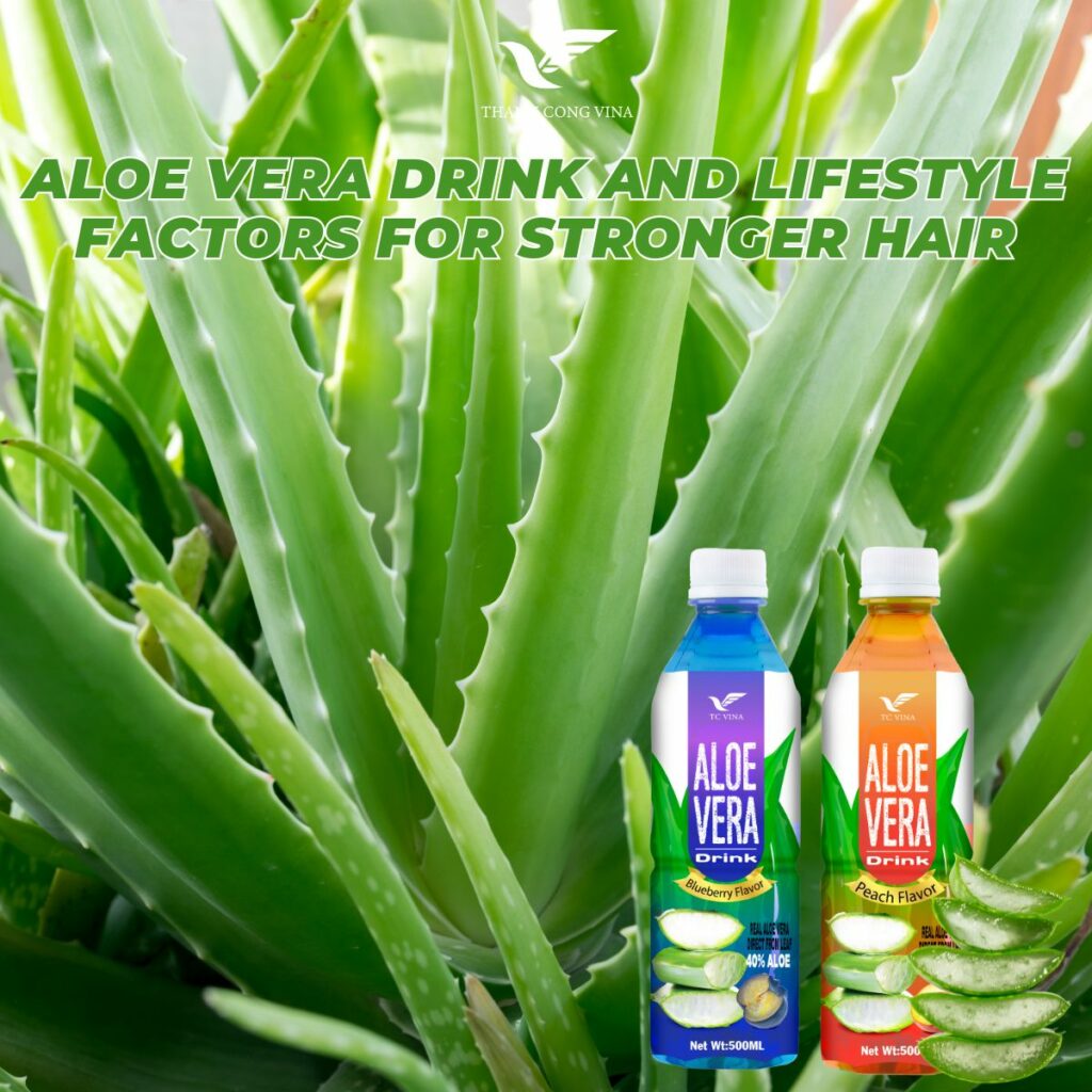 Aloe Vera Drink and Lifestyle Factors for Stronger Hair