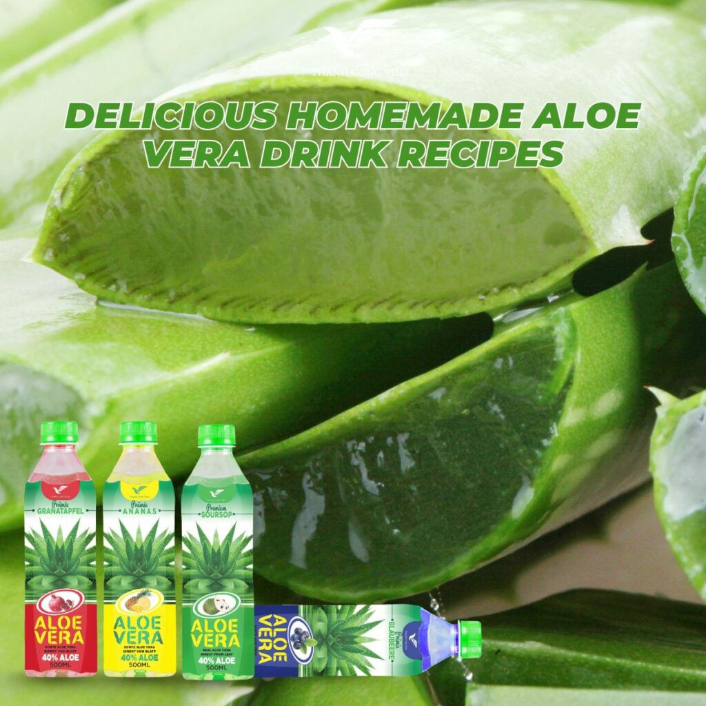Delicious Homemade Aloe Vera Drink Recipes