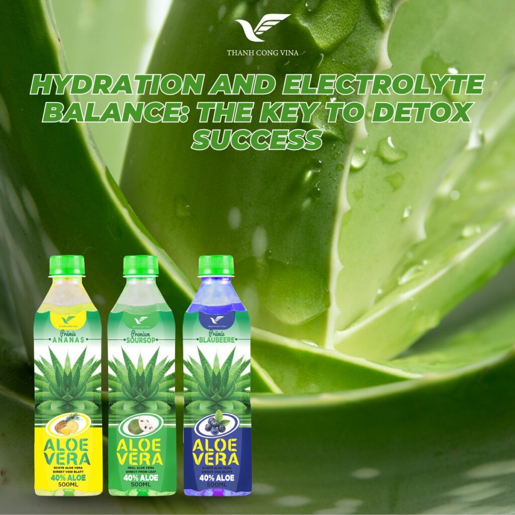 Hydration and Electrolyte Balance: The Key to Detox Success