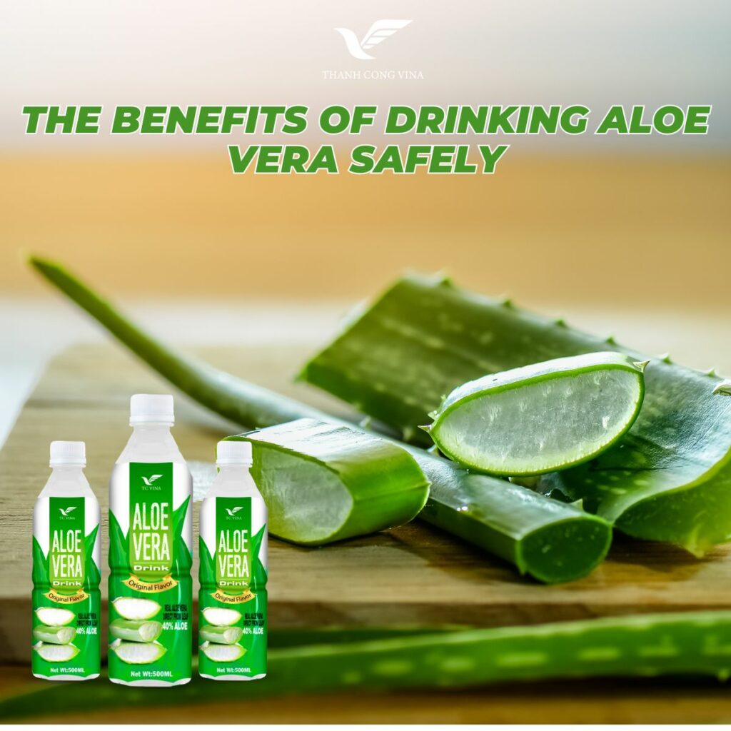 The Benefits of Drinking Aloe Vera Safely