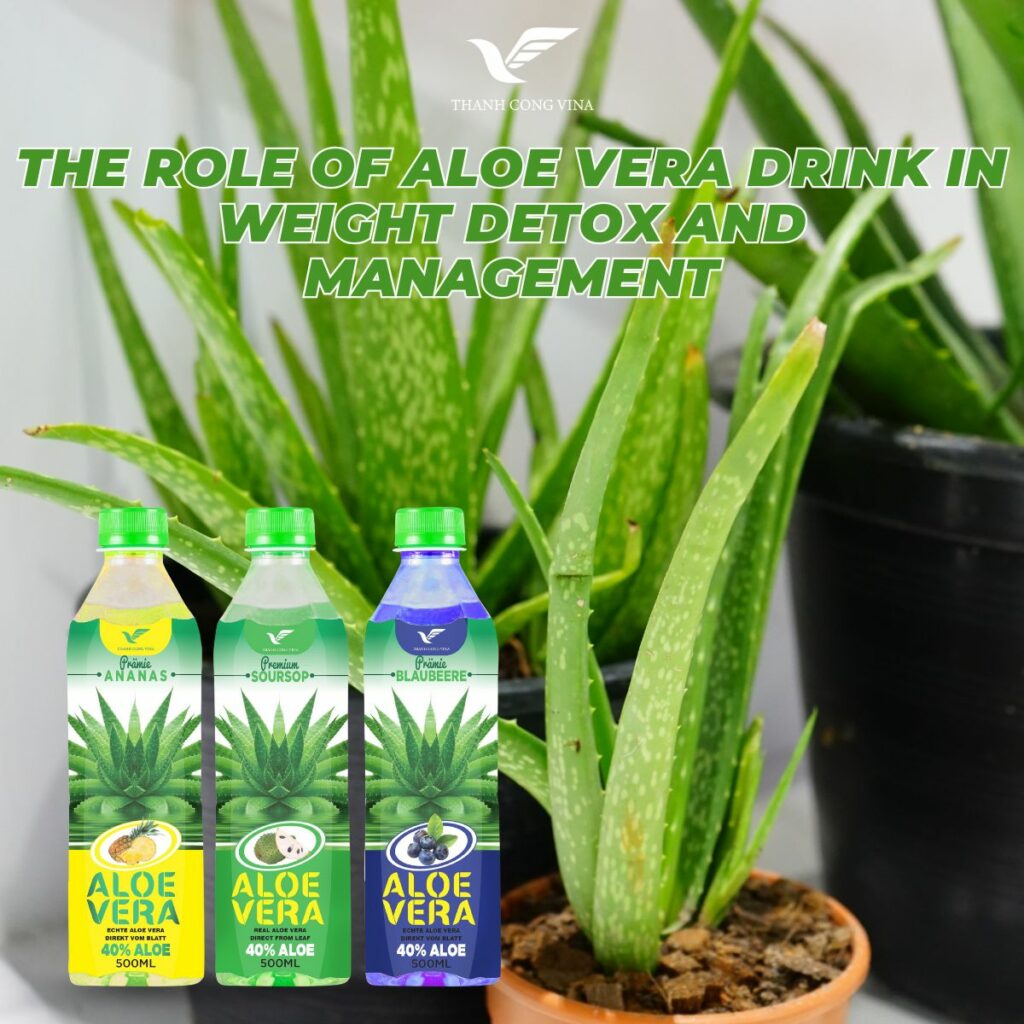The Role of Aloe Vera Drink in Weight Detox and Management