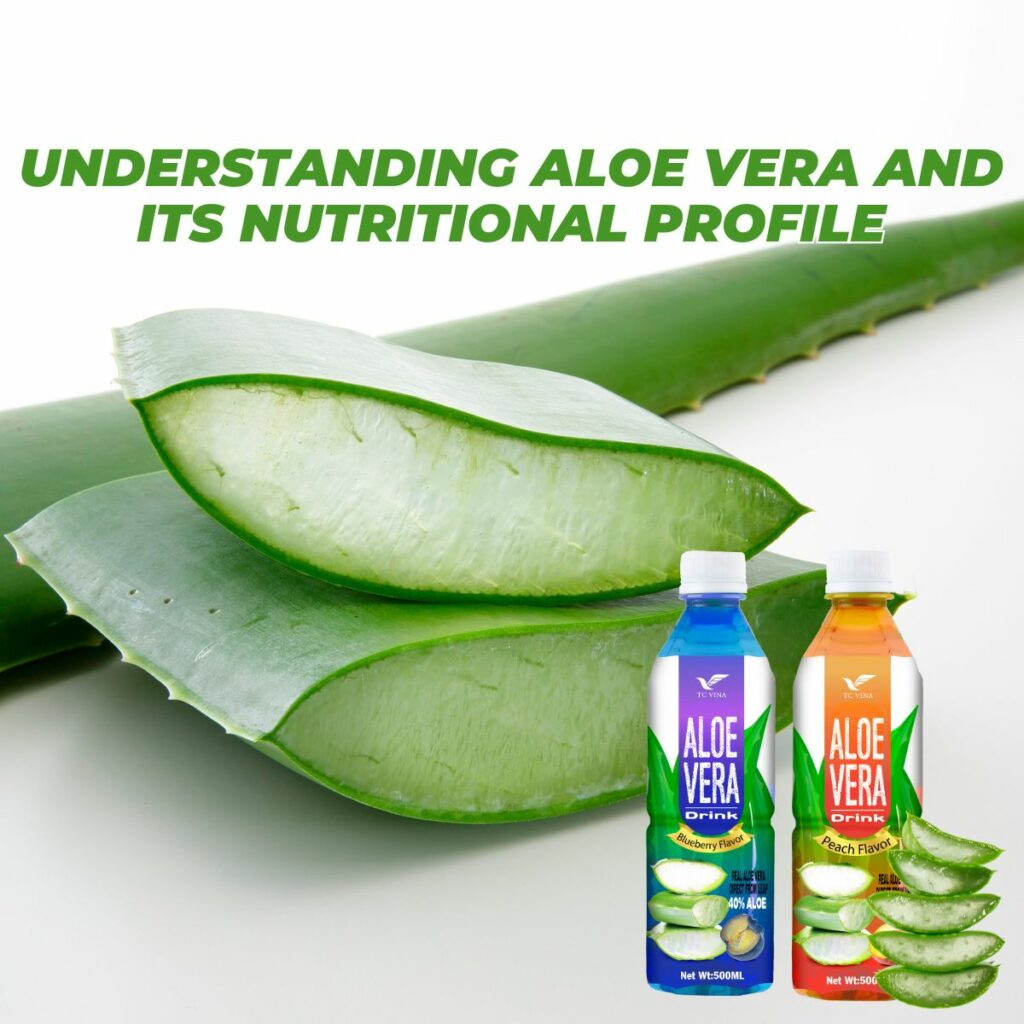 Understanding Aloe Vera and Its Nutritional Profile