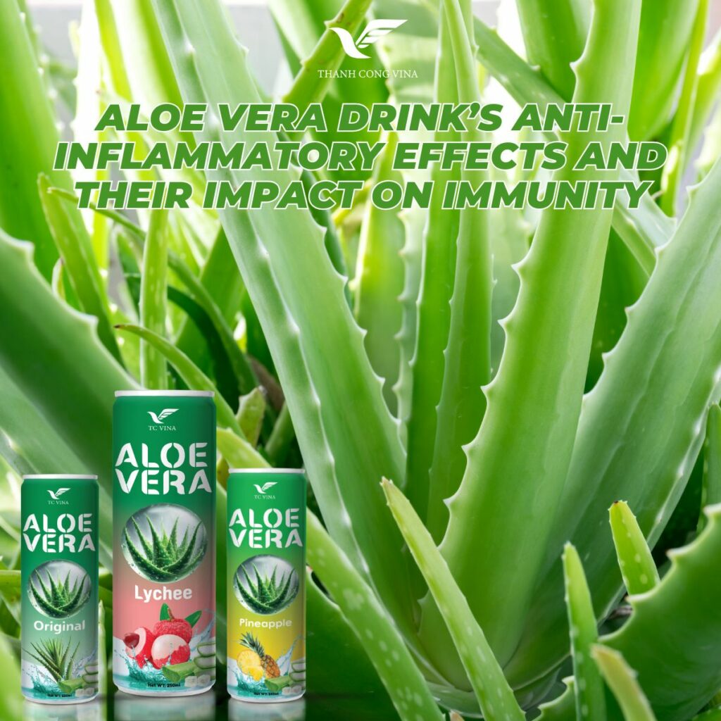 Aloe Vera Drink’s Anti-Inflammatory Effects and Their Impact on Immunity