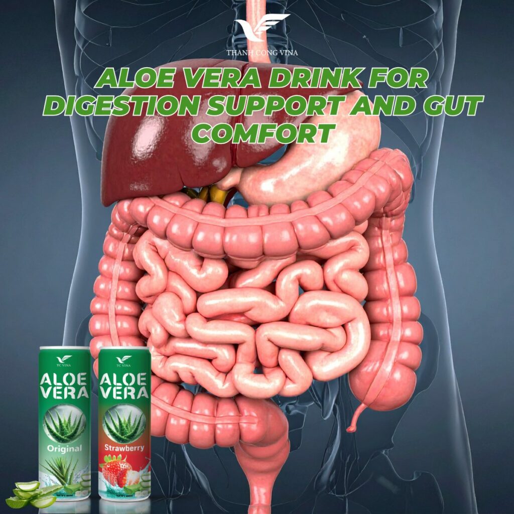 Aloe Vera Drink for Digestion Support and Gut Comfort