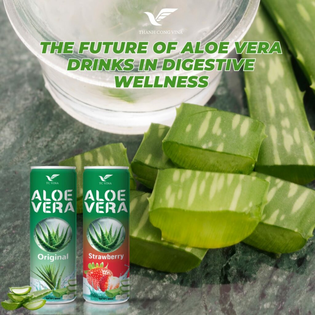 The Future of Aloe Vera Drinks in Digestive Wellness