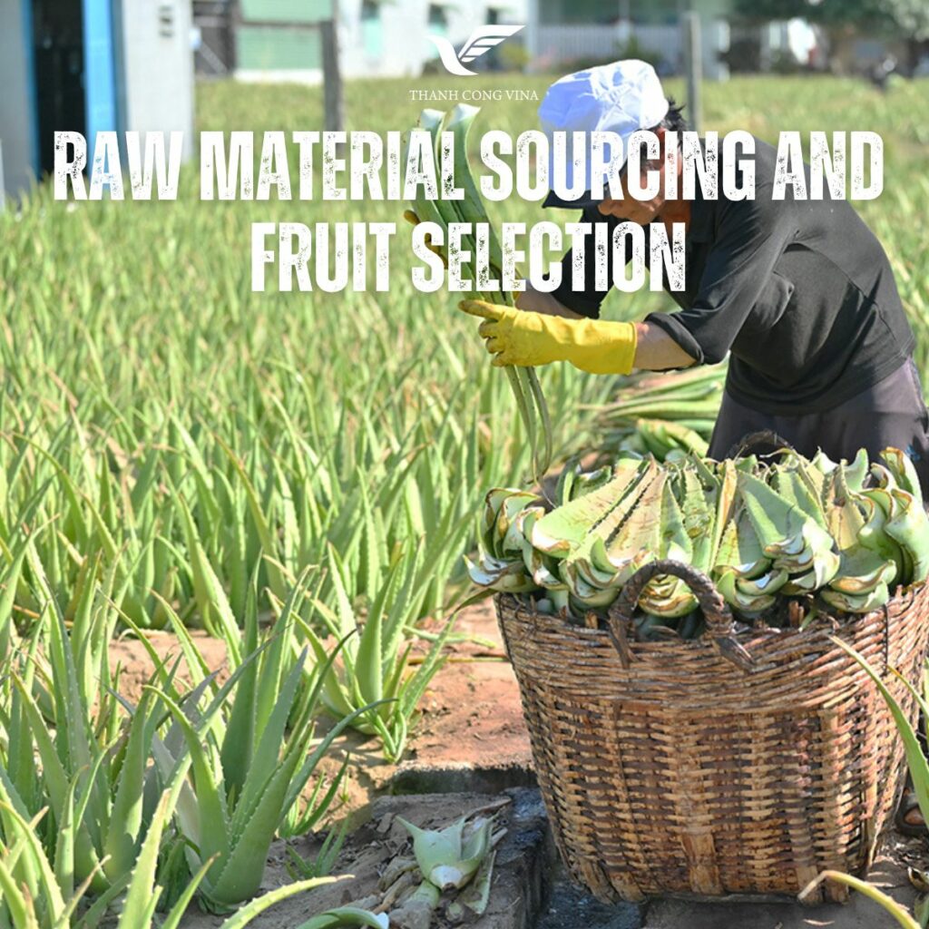 Raw Material Sourcing and Fruit Selection