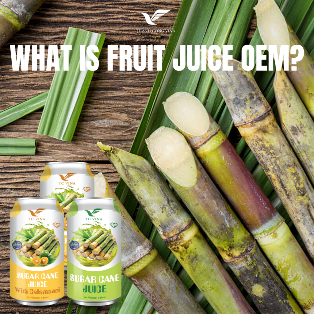 What Is Fruit Juice OEM?