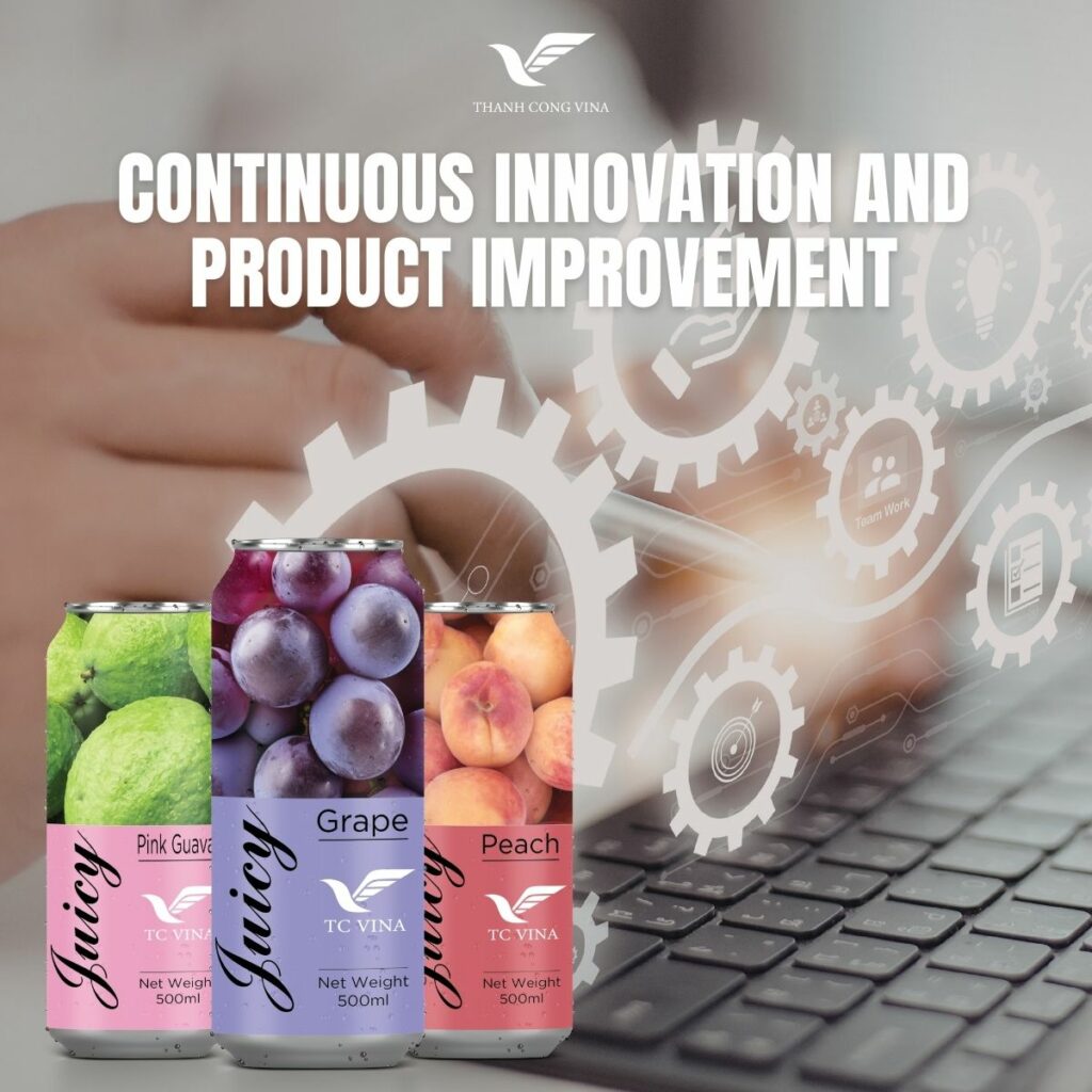 Continuous Innovation and Product Improvement