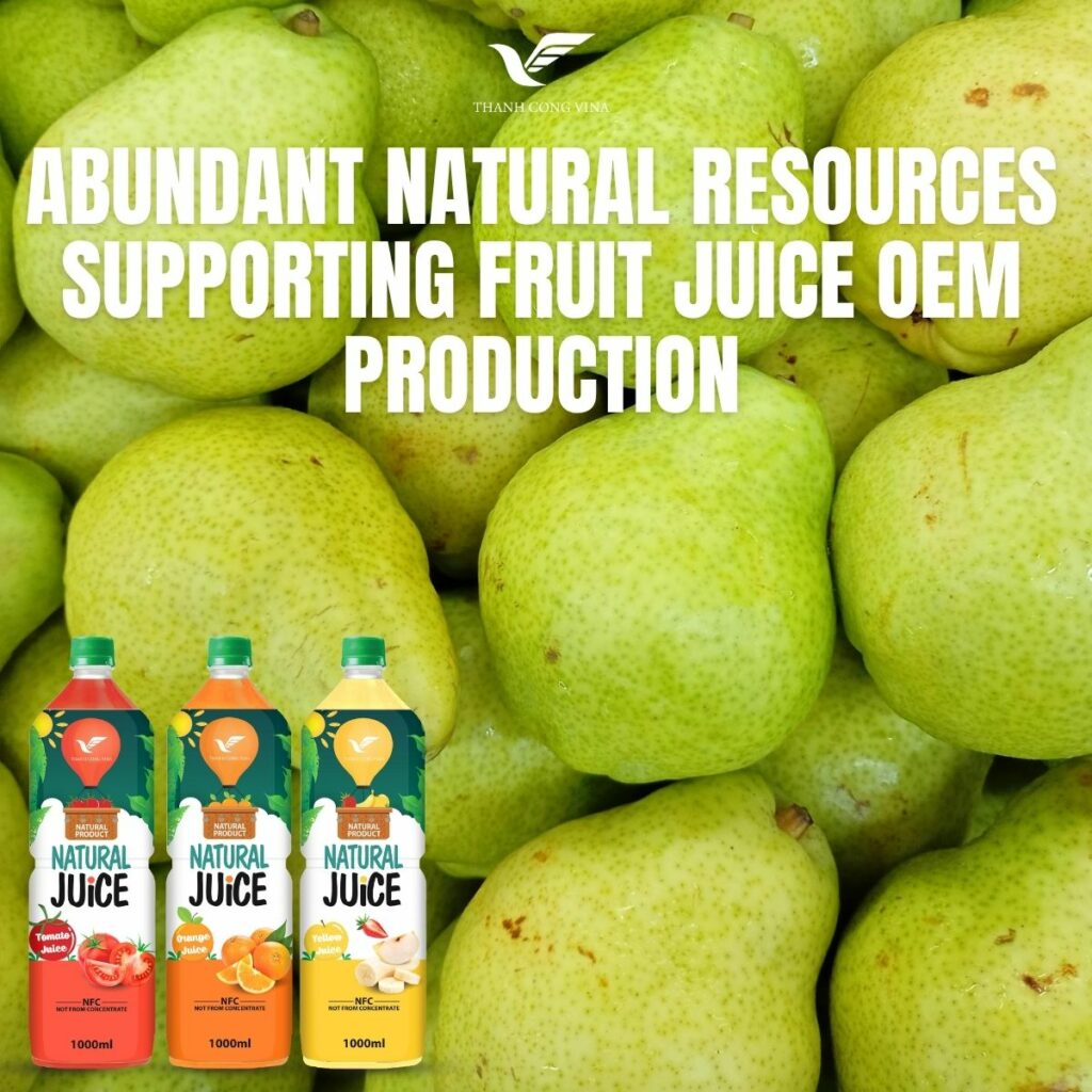 Abundant Natural Resources Supporting Fruit Juice OEM Production