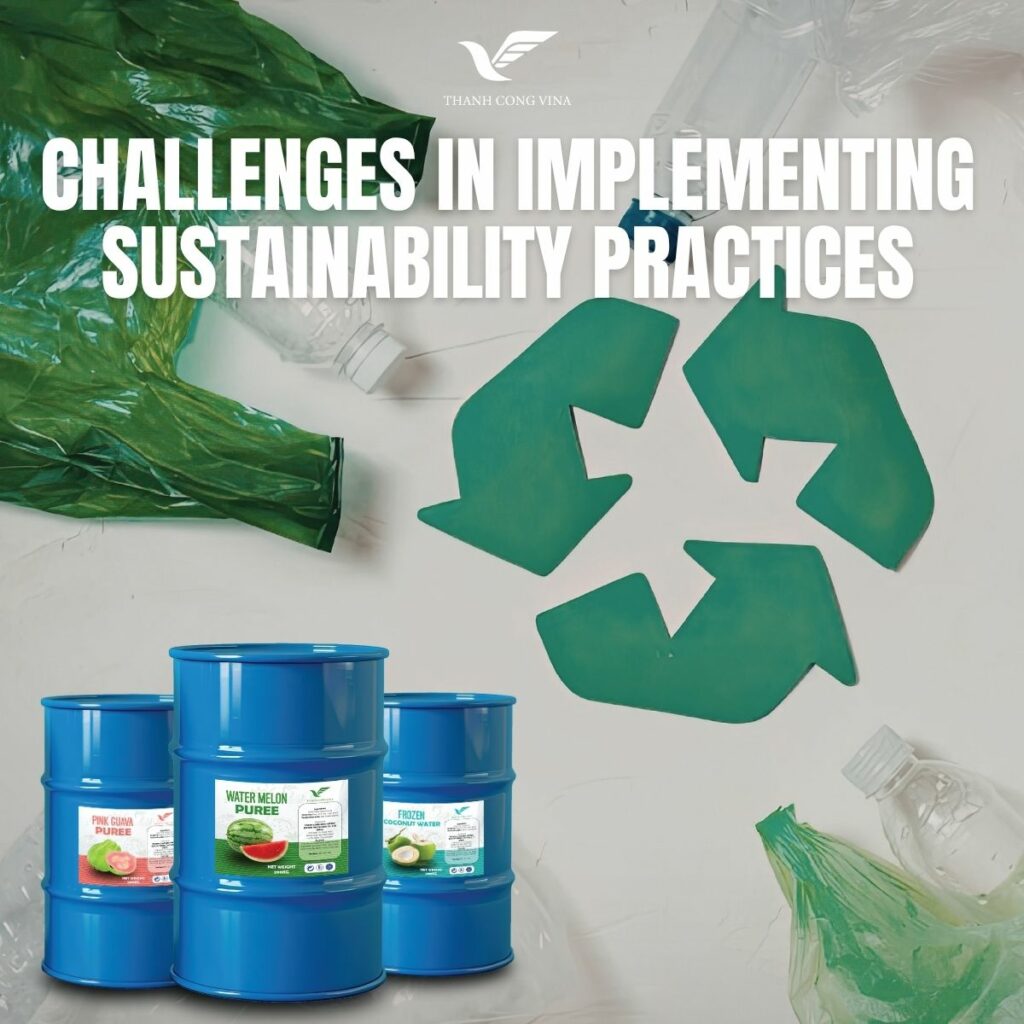 Challenges in Implementing Sustainability Practices