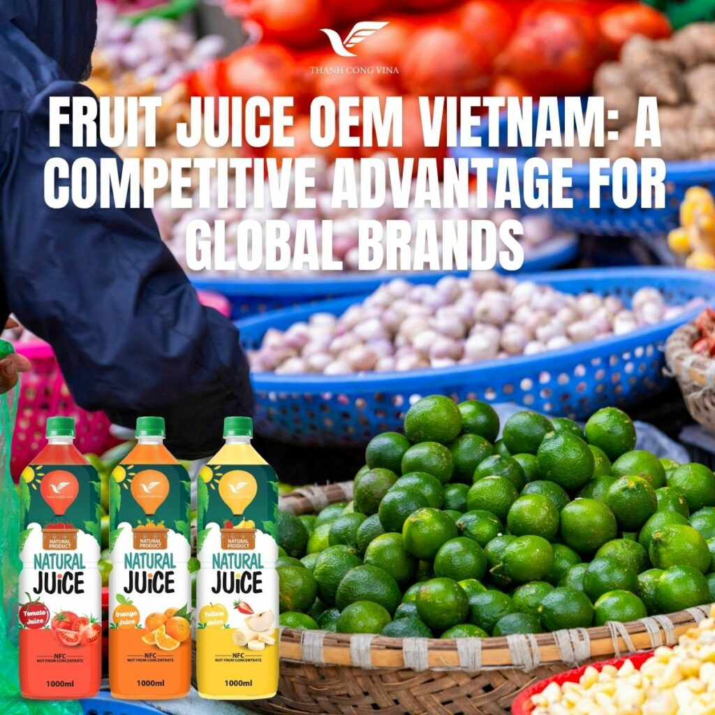 Fruit Juice OEM Vietnam: A Competitive Advantage for Global Brands