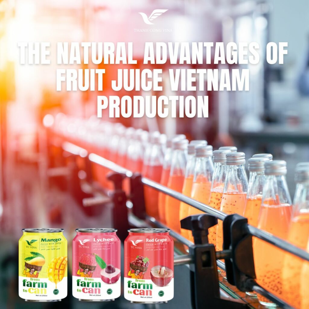 The Natural Advantages of Fruit Juice Vietnam Production