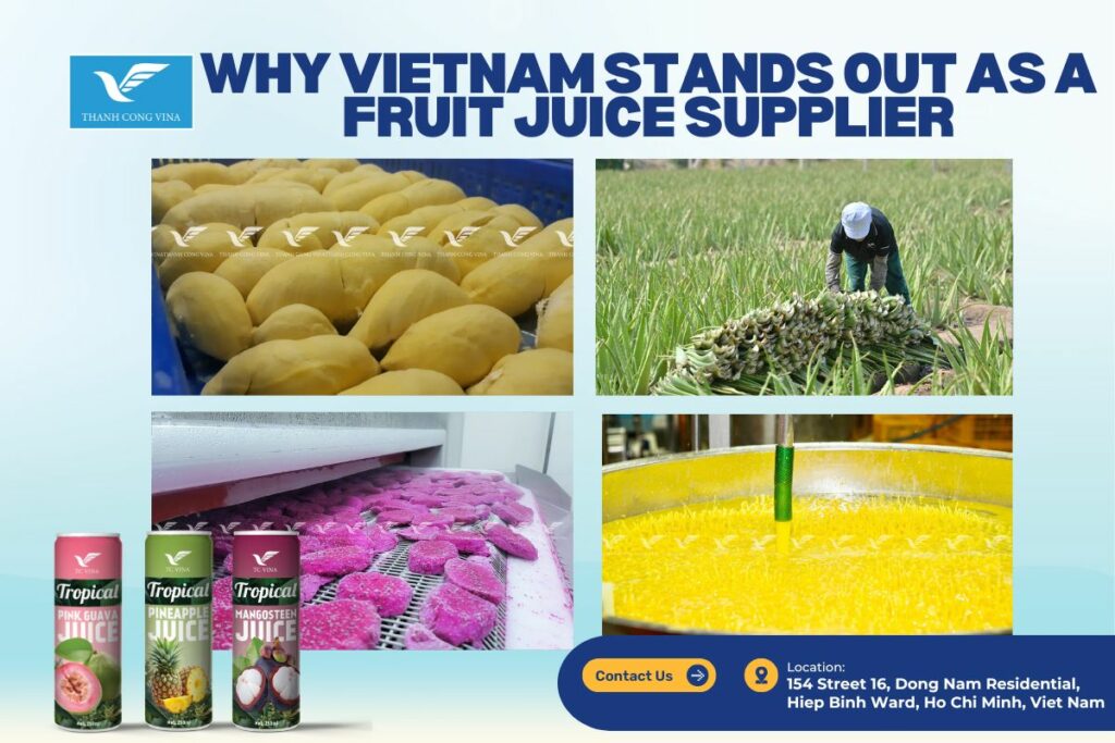 Why Vietnam Stands Out as a Fruit Juice Supplier