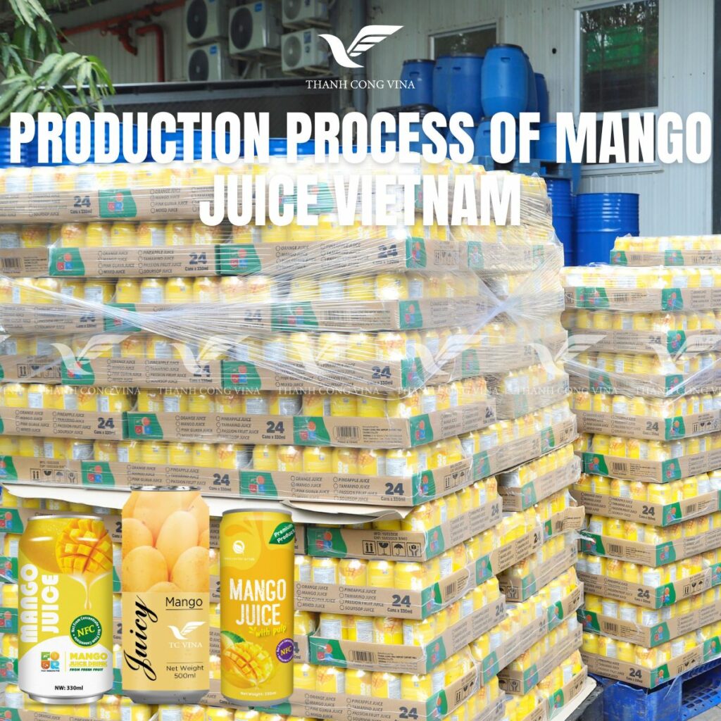 Mango Juice Vietnam in the Global Beverage Industry