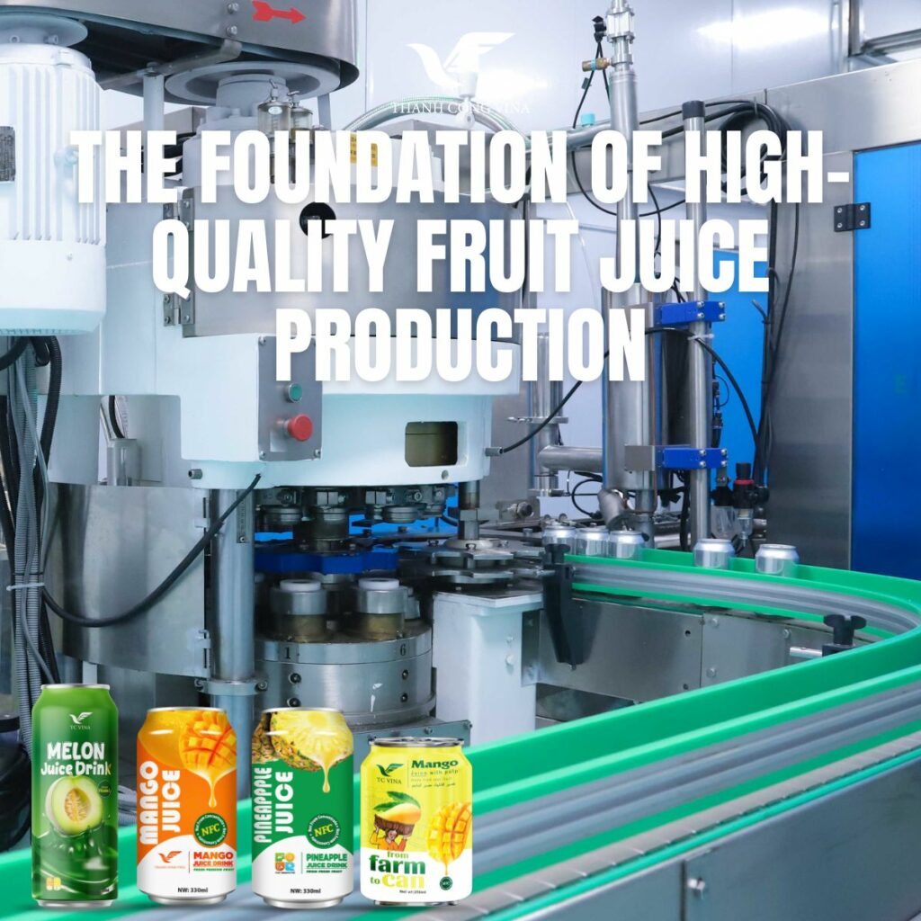 The Foundation of High-Quality Fruit Juice Production