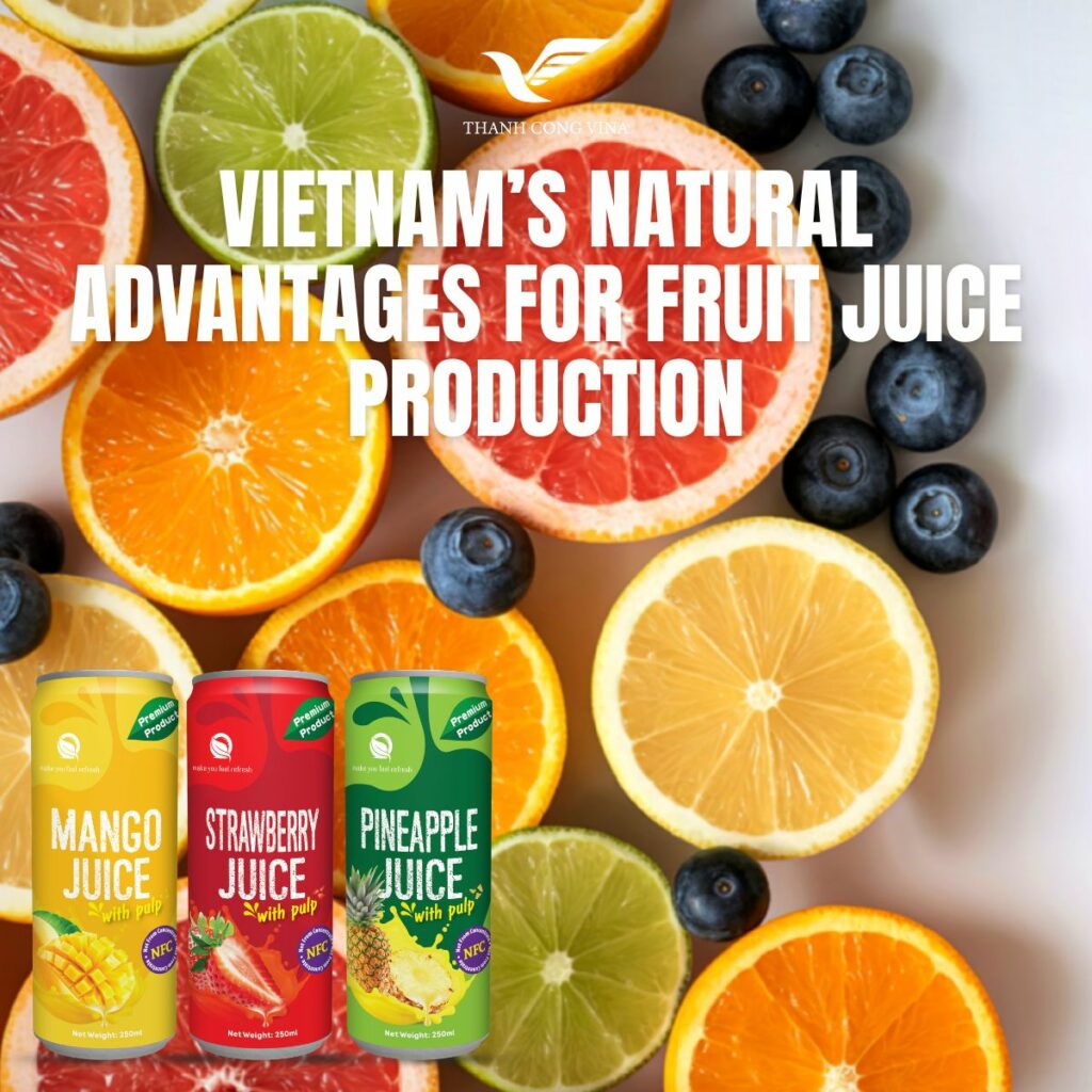 Vietnam’s Natural Advantages for Fruit Juice Production