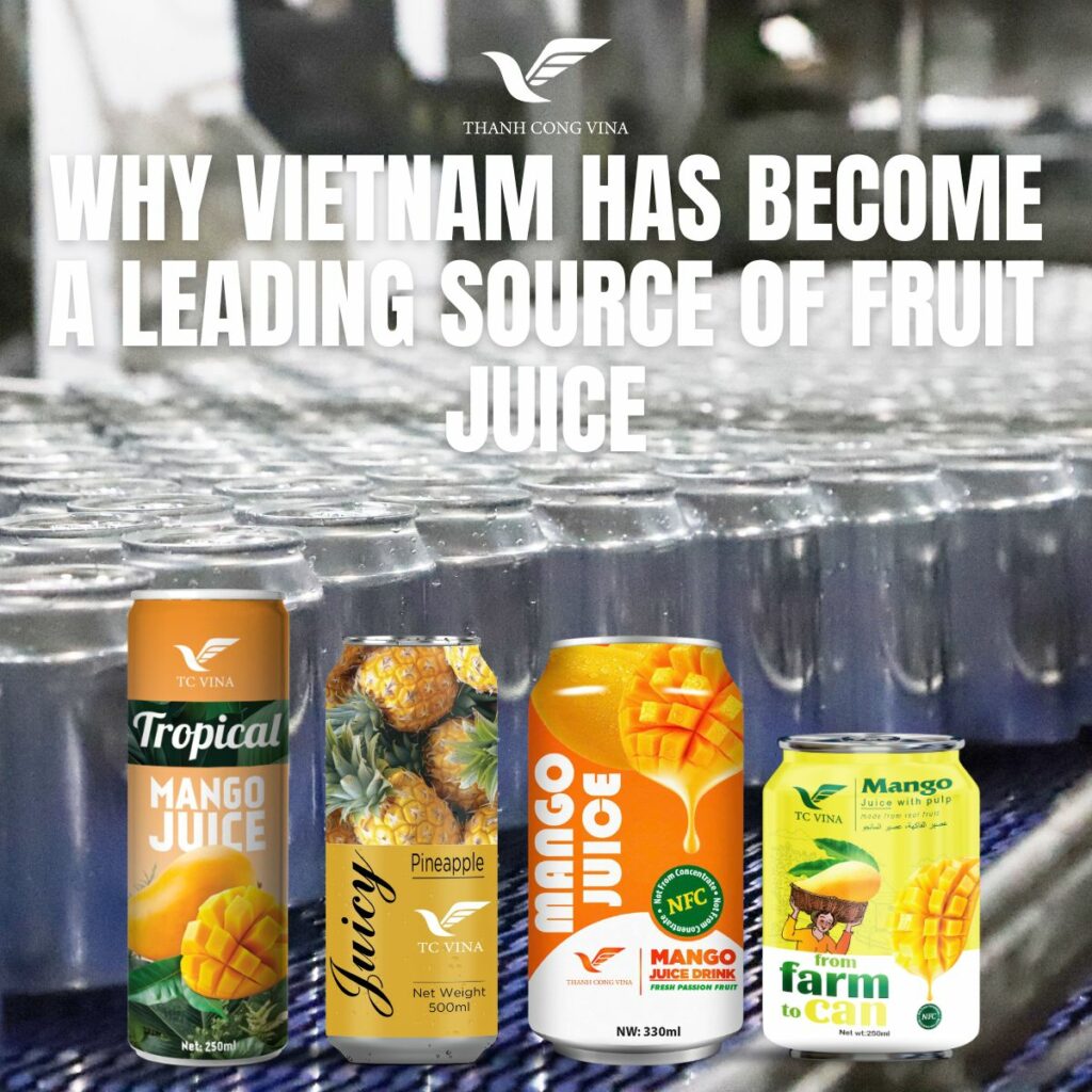 Why Vietnam Has Become a Leading Source of Fruit Juice