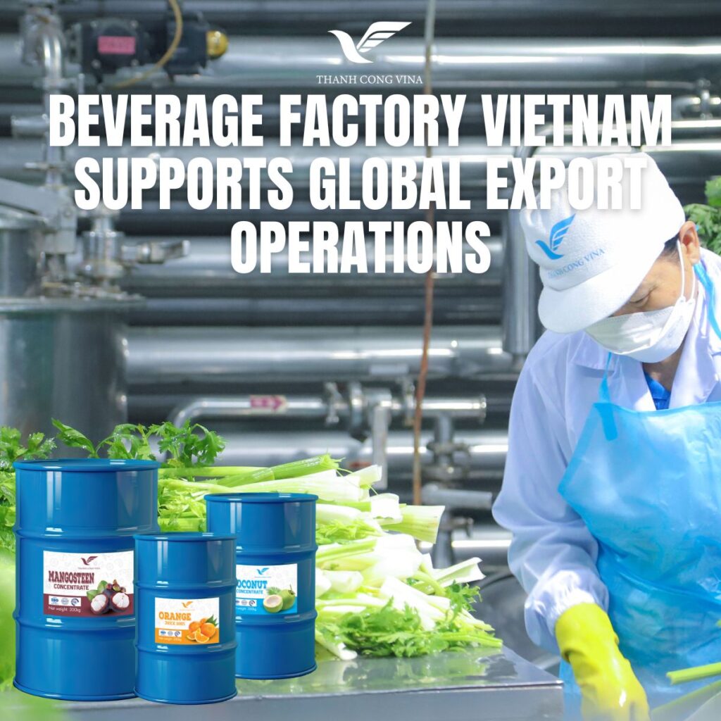 Beverage Factory Vietnam Supports Global Export Operations