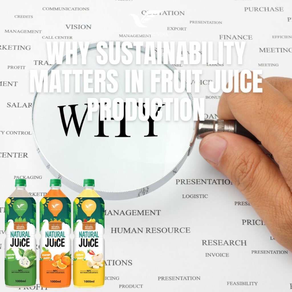 Why Sustainability Matters in Fruit Juice Production