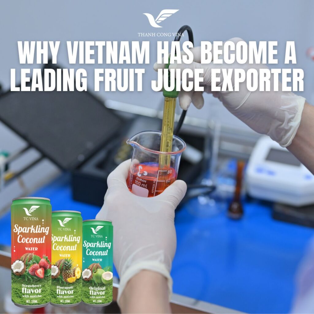 Why Vietnam Has Become a Leading Fruit Juice Exporter