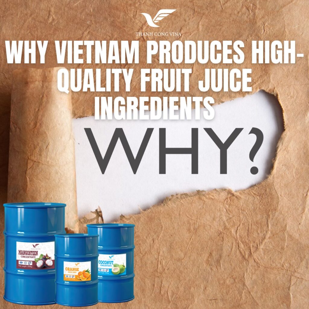 Why Vietnam Produces High-Quality Fruit Juice Ingredients