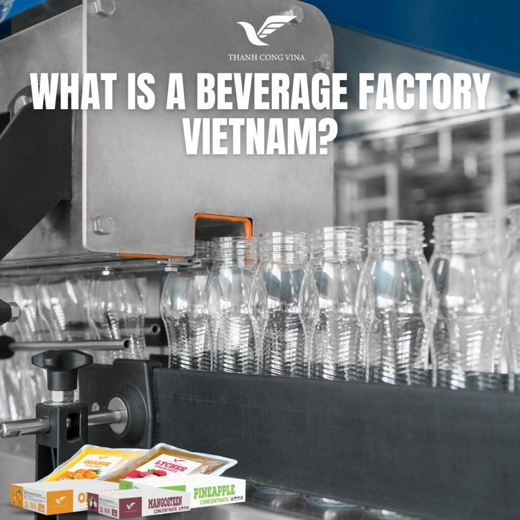 What Is a Beverage Factory Vietnam?