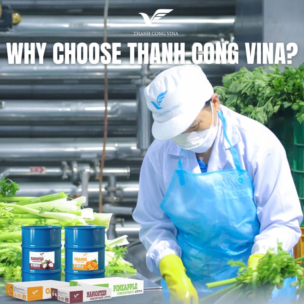 Why Choose Thanh Cong Vina?