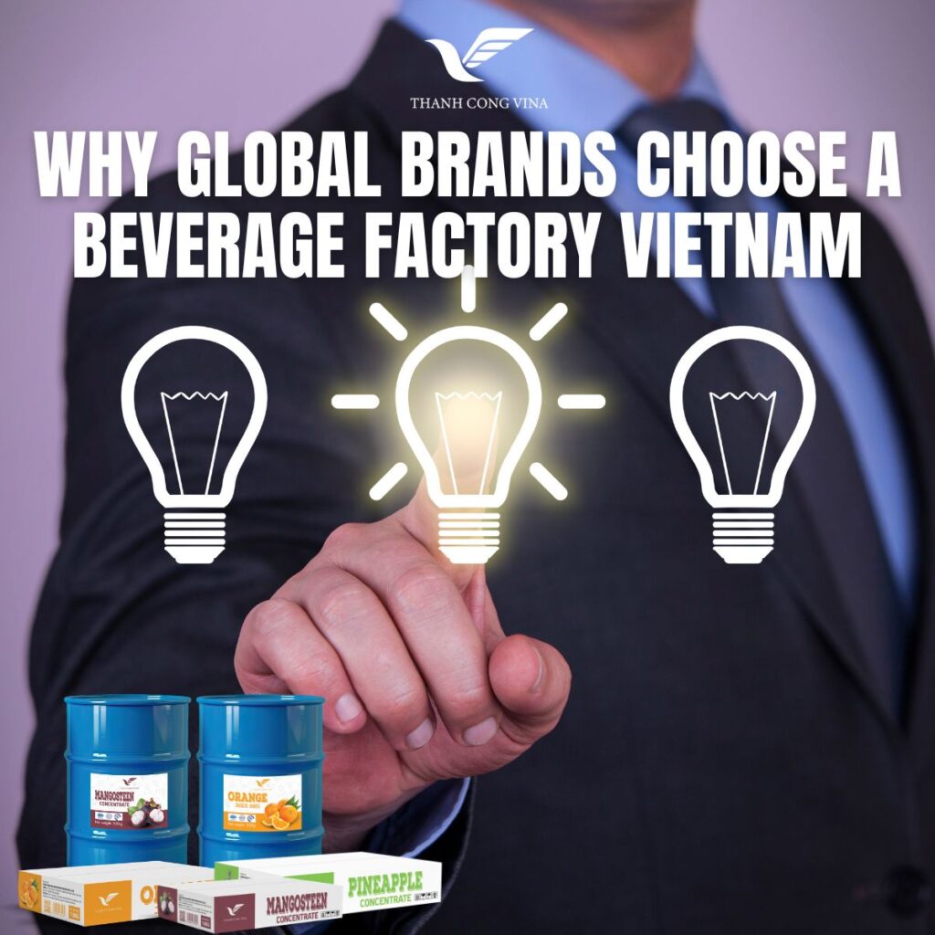 Why Global Brands Choose a Beverage Factory Vietnam