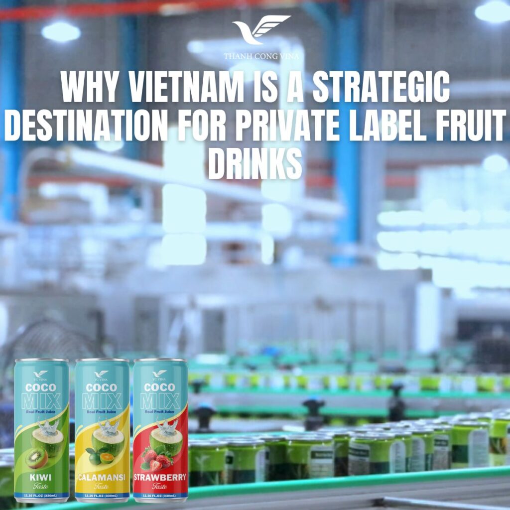 Why Vietnam Is a Strategic Destination for Private Label Fruit Drinks