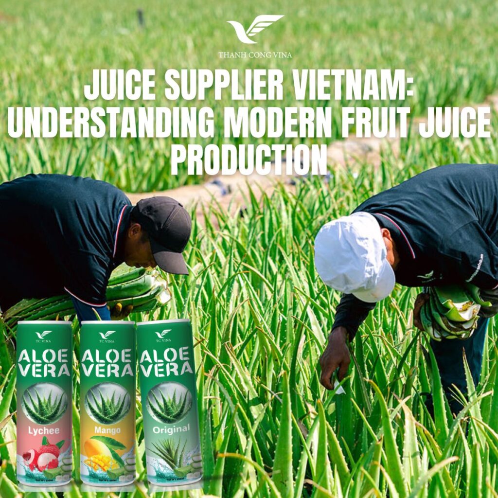 Juice Supplier Vietnam: Understanding Modern Fruit Juice Production