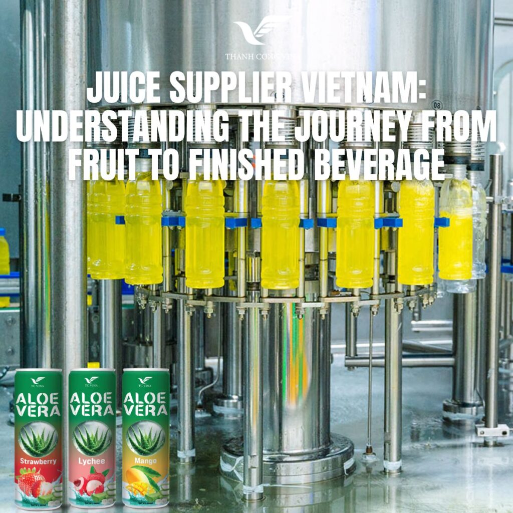 Juice Supplier Vietnam: Understanding the Journey from Fruit to Finished Beverage