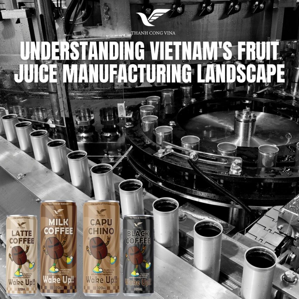 Understanding Vietnam's Fruit Juice Manufacturing Landscape