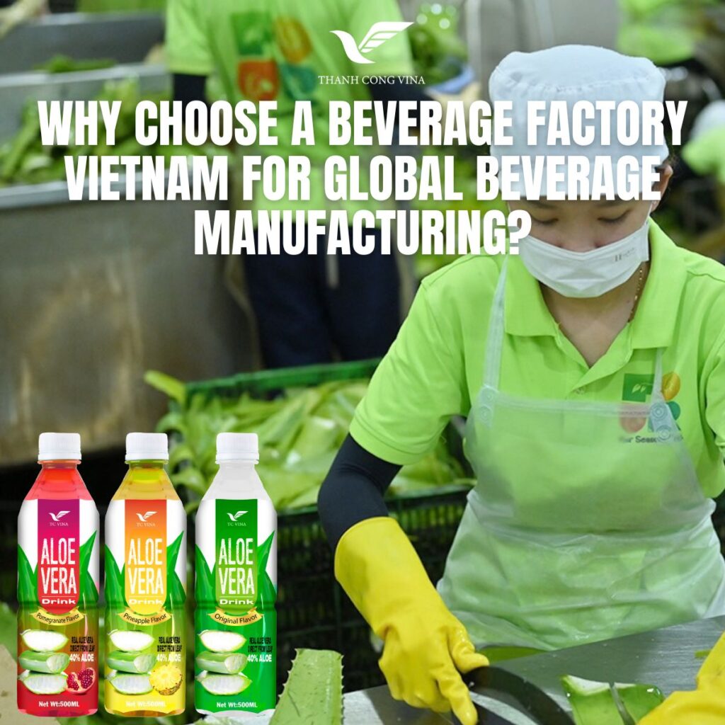 Why Choose a Beverage Factory Vietnam for Global Beverage Manufacturing?