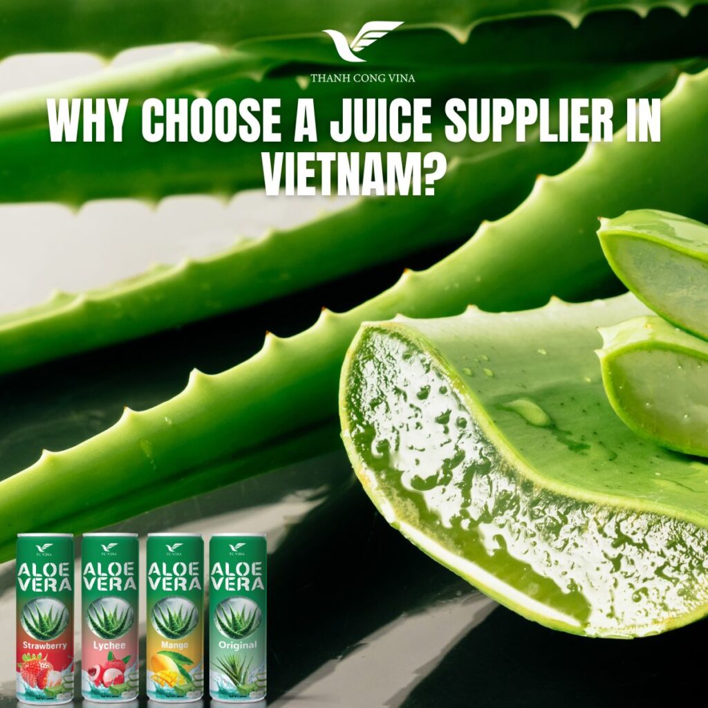 Why Choose a Juice Supplier in Vietnam?