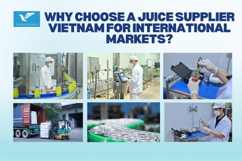 Why Choose a Juice Supplier Vietnam for International Markets?