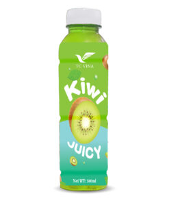 500ml TCVINA Pet Bottle Kiwi Juice Drink