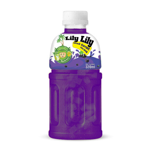 320ml TCVINA Pet Bottle Black Currant Juice With Nata De Coco
