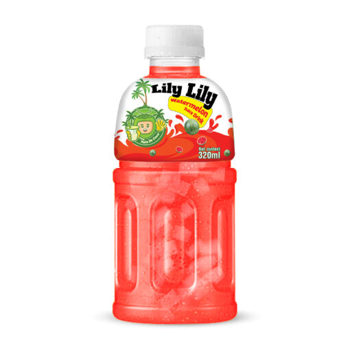 320ml TCVINA Pet Bottle Watermelon Juice With Nata De Coco