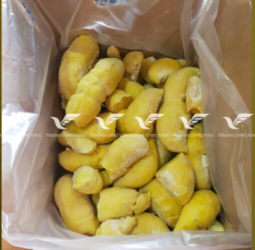 TCVINA IQF Frozen Durian - Image 3