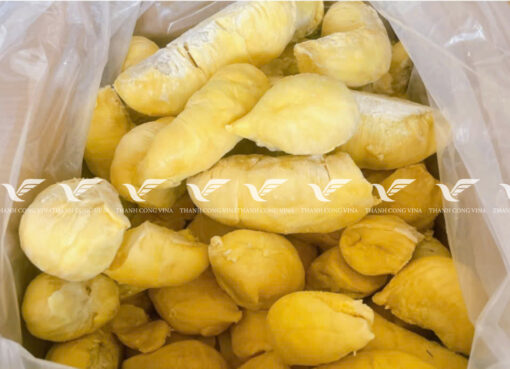 TCVINA IQF Frozen Durian - Image 2
