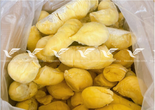 TCVINA IQF Frozen Durian - Image 5
