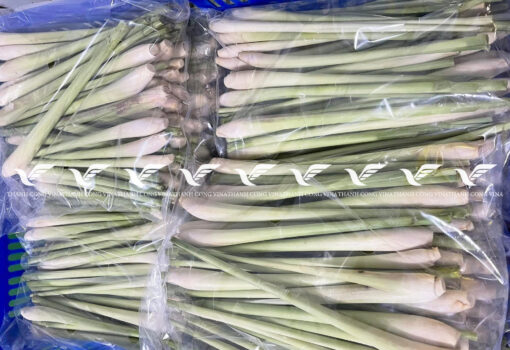 TCVINA IQF Frozen Lemongrass - Image 3
