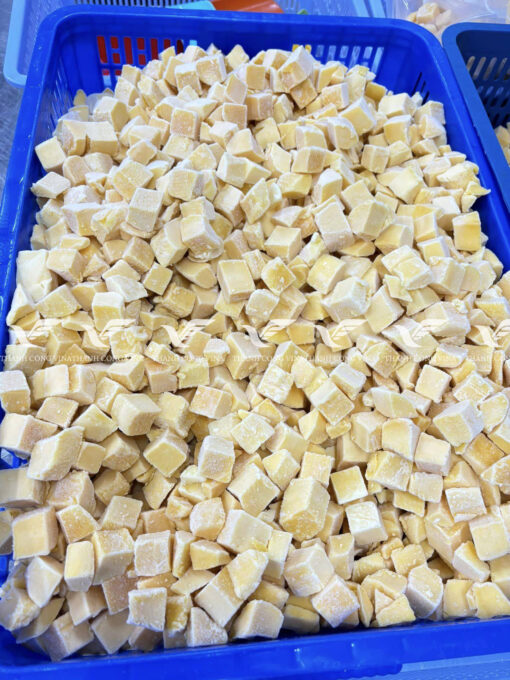 TCVINA IQF Frozen Mango - Image 5