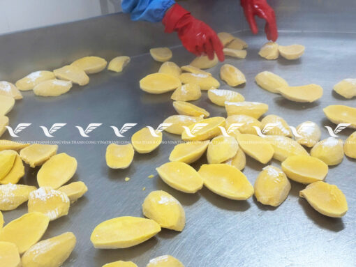TCVINA IQF Frozen Mango - Image 4