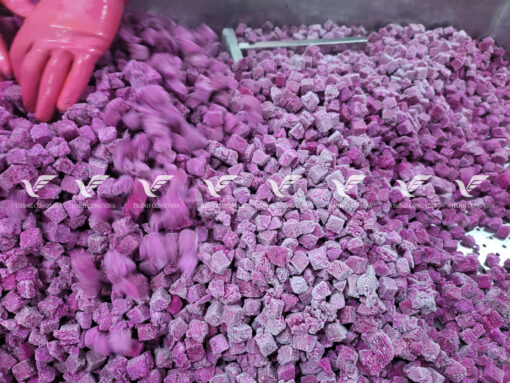 TCVINA IQF Frozen Red Dragon Fruit - Image 3